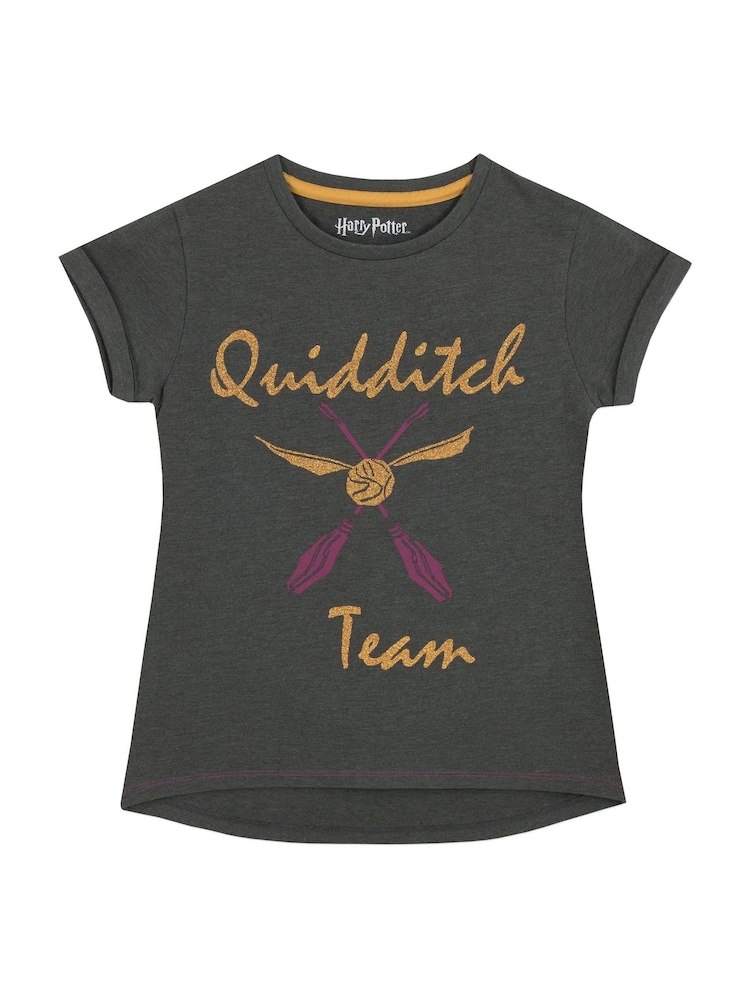 Character Grey Harry Potter Quidditch T-Shirt - Image 1 of 2