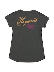 Character Grey Harry Potter Quidditch T-Shirt - Image 2 of 2
