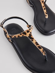 Leopard Forever Comfort® Standard/Wide Fit Toe Thong Leather Sandals - Image 5 of 5