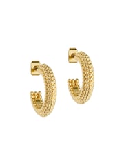 Ted Baker Gold Tone DOTETTA: Dotty Hoop Earrings - Image 2 of 5
