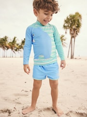 Mint Green Elephant Rash Vest and Shorts Set (3mths-7yrs) - Image 1 of 8