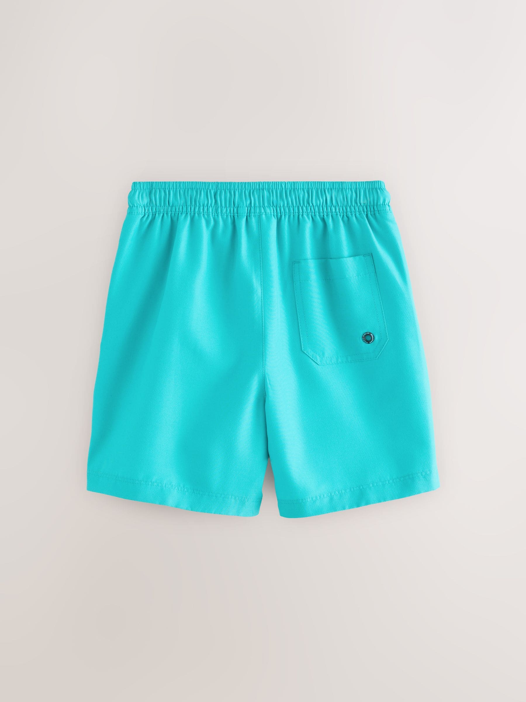 Buy Turquoise Blue Swim Shorts (1.5-16yrs) from Next Netherlands