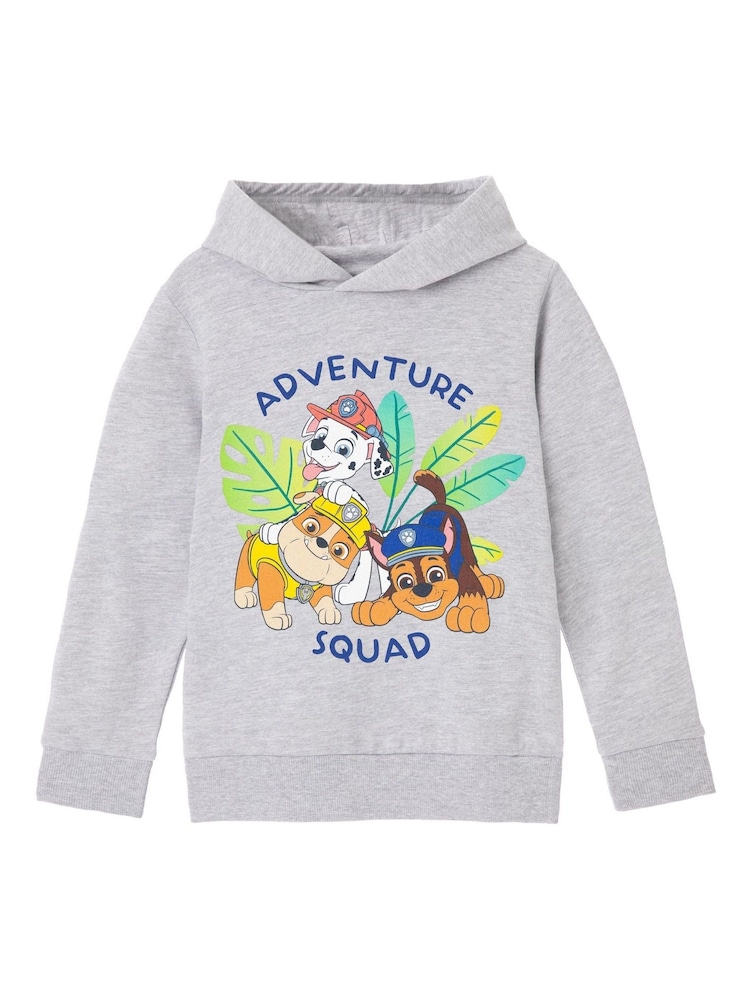 Vanilla Underground Grey Paw Patrol Boys Licensed Hoodie - Image 1 of 5