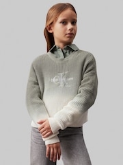 Calvin Klein Green Monogram Gradient Jumper - Image 1 of 5