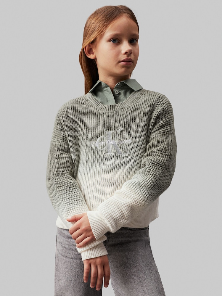 Calvin Klein Green Monogram Gradient Jumper - Image 1 of 5