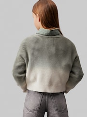 Calvin Klein Green Monogram Gradient Jumper - Image 4 of 5