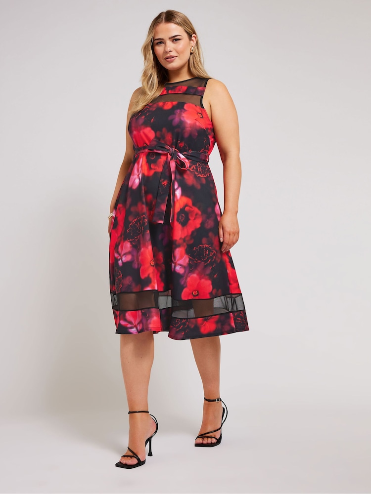 Schwarz - Yours Curve – Skaterkleid mit Blumenmuster-Mesh-Einsatz - Bild 1 von 5 Schwarz - Yours Curve – Skaterkleid mit Blumenmuster-Mesh-Einsatz - Bild 1 von 5