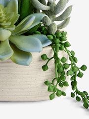 Green Artificial Succulent Arrangment In Ceramic Pot - Image 2 of 3