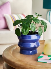 Green Artificial Money Tree Plant In Blue Ceramic Pot - Image 1 of 4
