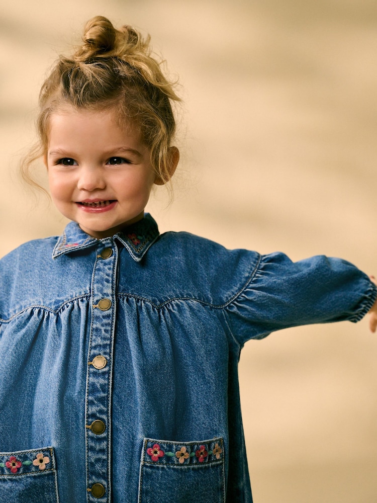 Buy Blue Embroidered Denim Shirt Dress (3mths-8yrs) from Next Luxembourg