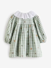 Green Check Embroidered Collar Long Sleeve Dress (3mths-8yrs) - Image 6 of 8
