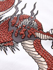 White/Black Dragon Relaxed Fit Graphic Short Sleeve 100% Cotton T-Shirt And Shorts Set (3-16yrs) - Image 3 of 4