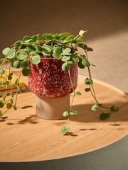 MADE.COM Terracotta & White Santiago Hand Splatter Small Plant Pot - Image 1 of 5