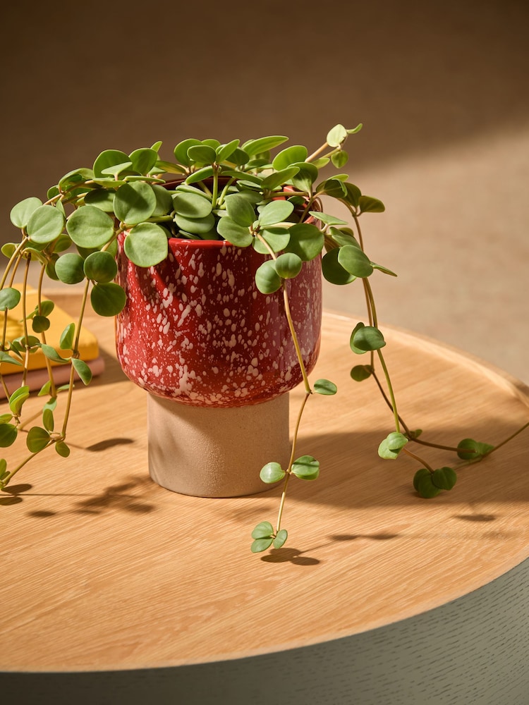 MADE.COM Terracotta & White Santiago Hand Splatter Small Plant Pot - Image 1 of 5