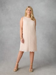 Live Unlimited Pink Curve Lace Shift Dress - Image 1 of 4