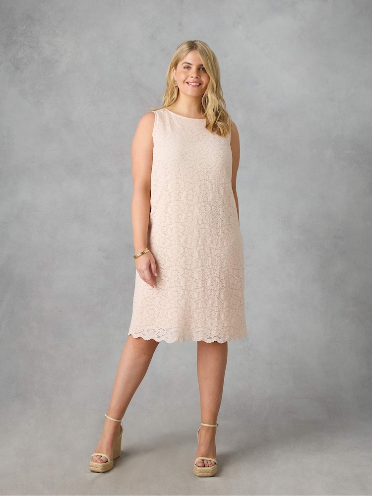 Live Unlimited Pink Curve Lace Shift Dress - Image 1 of 4
