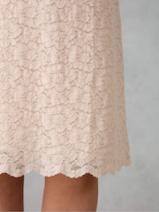 Live Unlimited Pink Curve Lace Shift Dress - Image 3 of 4