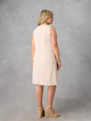 Live Unlimited Pink Curve Lace Shift Dress - Image 4 of 4