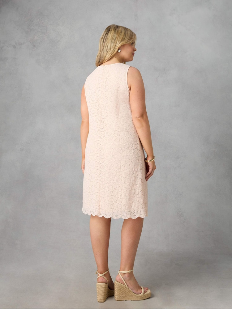 Live Unlimited Pink Curve Lace Shift Dress - Image 4 of 4