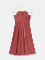 Mint Velvet Brown Lace Detail Midi Dress - Image 8 of 8