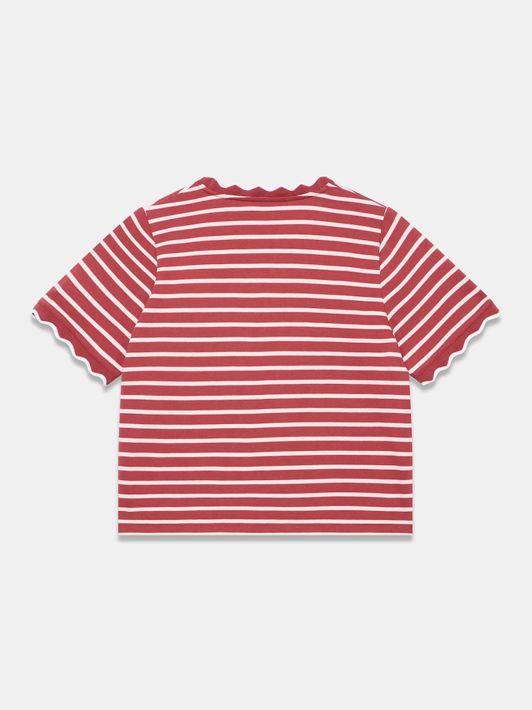 Mint Velvet Baumwoll-T-Shirt mit gestreiftem Muschelsaum - Bild 7 von 7