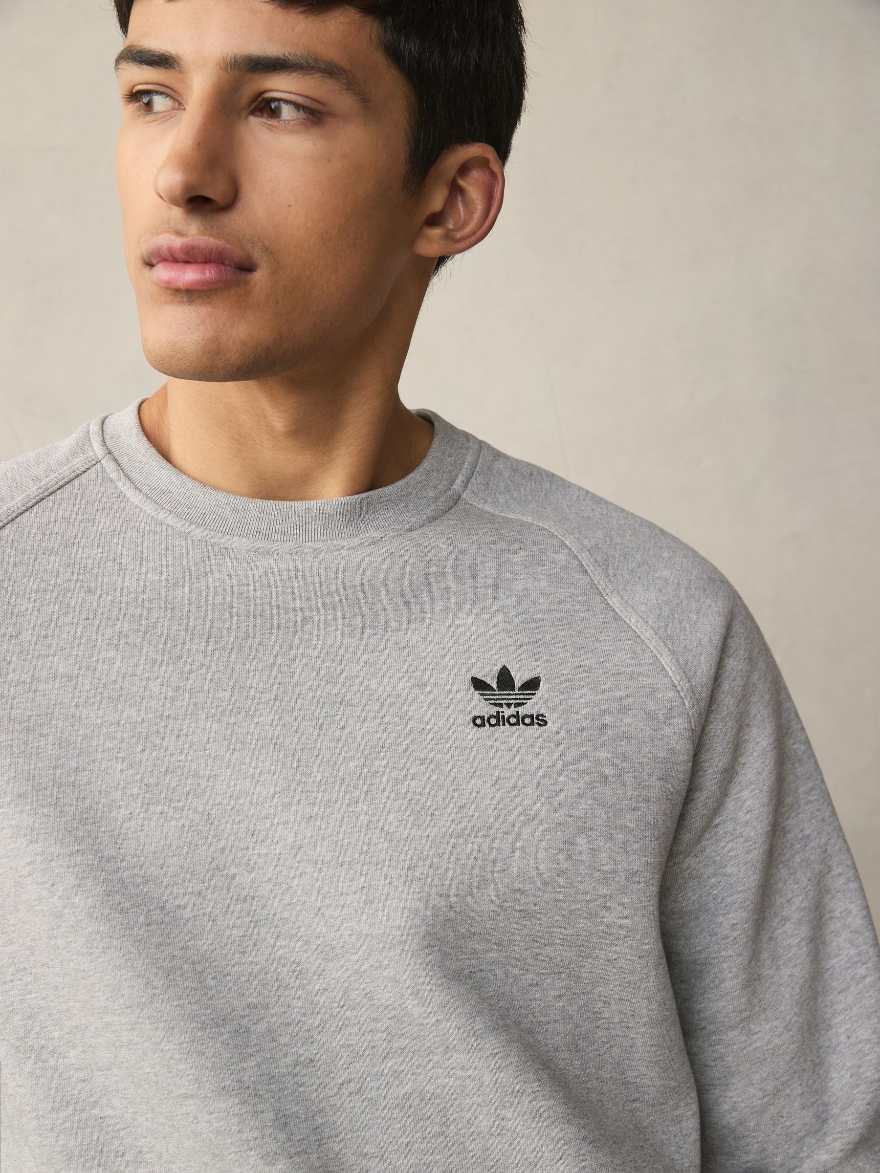 Buy adidas Originals Grey Trefoil Essentials Crew Sweatshirt from