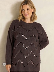 Evans Brown Zig-Zag Sequin Embellished Jumper - Image 1 of 6