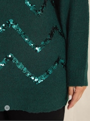 Evans Green Zig-Zag Sequin Embellished Jumper - Image 4 of 6