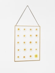 Oliver Bonas Gold Dried Flower Daisy Glass Wall Hanging - Image 1 of 3