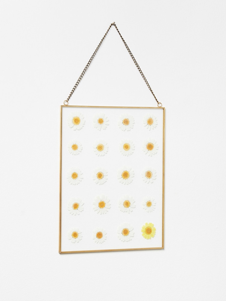 Oliver Bonas Gold Dried Flower Daisy Glass Wall Hanging - Image 1 of 3 Oliver Bonas Gold Dried Flower Daisy Glass Wall Hanging - Image 1 of 3