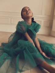 Green Bow Detail Sparkle Mesh Dress (3-16yrs) - Image 3 of 9