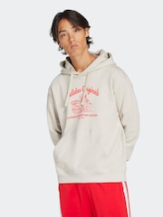Grau - adidas Originals Graphic Hoodie - Bild 1 von 6