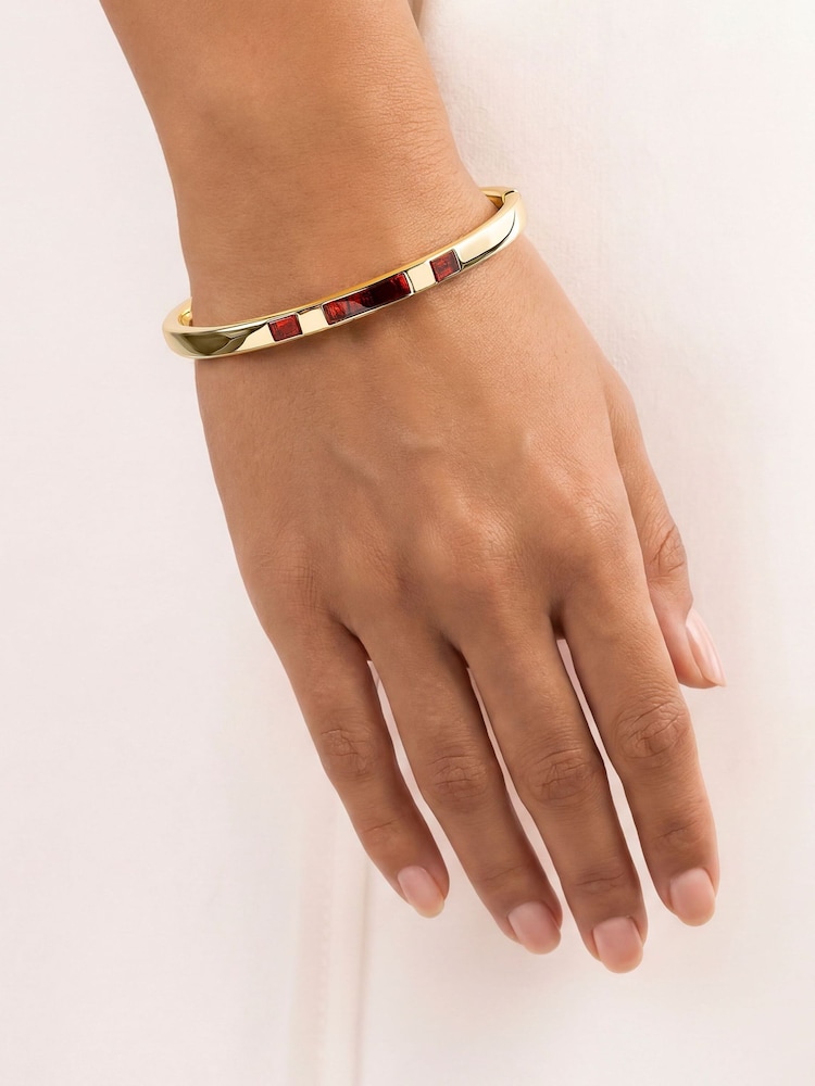 Peers Hardy 18ct Gold Plated Radley Dark Cherry Resin Bangle - Image 1 of 6 Peers Hardy 18ct Gold Plated Radley Dark Cherry Resin Bangle - Image 1 of 6