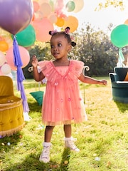 Coral Pink Embroidered Mesh Party Dress (3mths-8yrs) - Image 1 of 7