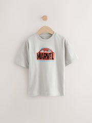 Stone Spiderman Marvel 100% Cotton T-Shirt (3-16yrs) - Image 1 of 4