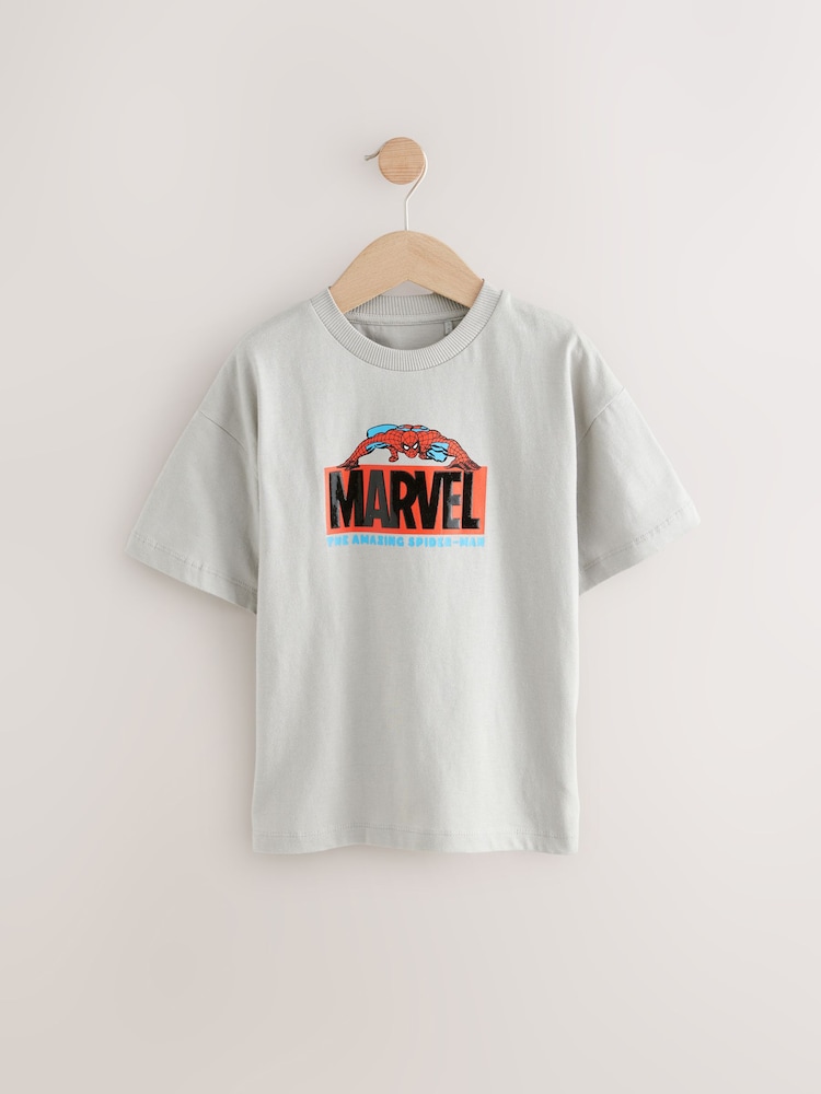 Stone Spiderman Marvel 100% Cotton T-Shirt (3-16yrs) - Image 1 of 4