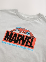 Stone Spiderman Marvel 100% Cotton T-Shirt (3-16yrs) - Image 3 of 4