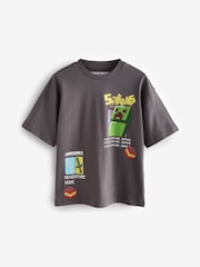 Brun - T-shirt Minecraft sous licence (3-16 ans) - Image 1 de 4