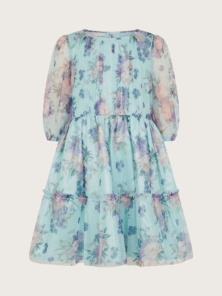 Monsoon Blue Vintage Floral Mesh Dress - Image 1 of 3