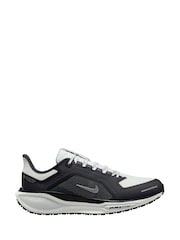 Nike White/Grey Pegasus 41 GORE-TEX Trail Running Trainers - Image 1 of 4