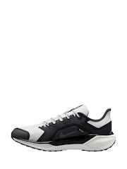 Nike White/Grey Pegasus 41 GORE-TEX Trail Running Trainers - Image 2 of 4