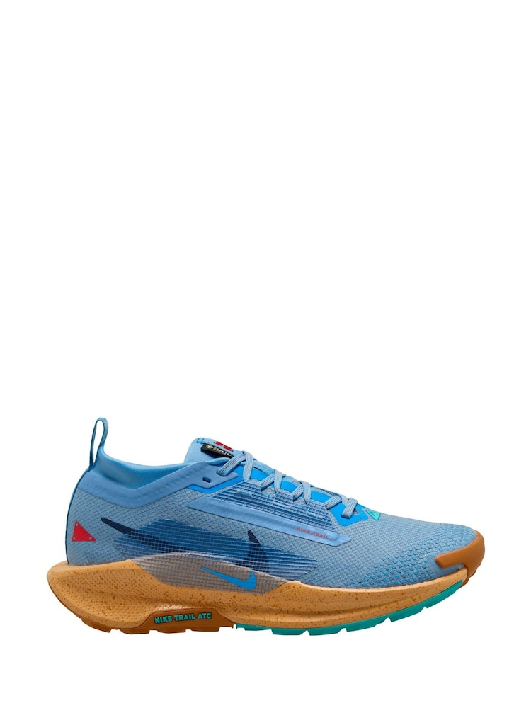 Nike Blue Pegasus 5 GORE-TEX Waterproof Trail Running Trainers - Image 1 of 4
