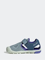 Gris - adidas Terrex Captain Toey 2.0 Sandals - Imagen 3 de 8