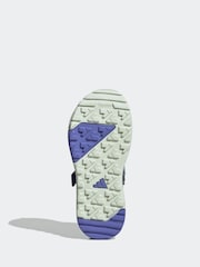 Gris - adidas Terrex Captain Toey 2.0 Sandals - Imagen 6 de 8