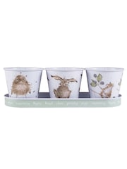 Wrendale Green Bird Feed Tin Herb Pots And Tray Set - Image 3 of 3