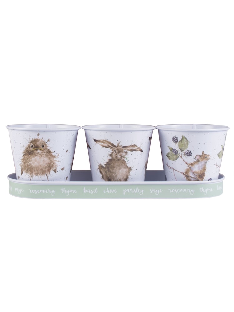 Wrendale Green Bird Feed Tin Herb Pots And Tray Set - Image 3 of 3