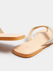 Long Tall Sally Embellished Flip Flop Sandal In Standard Fit - Image 4 of 4