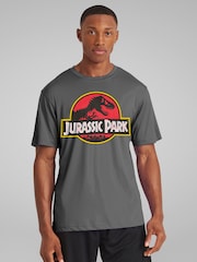 All + Every Grey Mens Jurassic Park Classic Logo 100% Cotton T-Shirt - Image 1 of 4