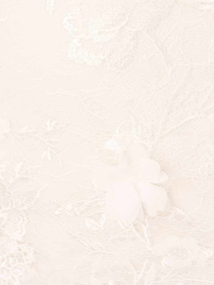 Adrianna Papell Embroidered Lace Midi White Dress - Image 7 of 7