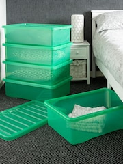 Wham Tint Leprechaun Green Set of 5 Crystal 32L Box & Lid - Image 1 of 5